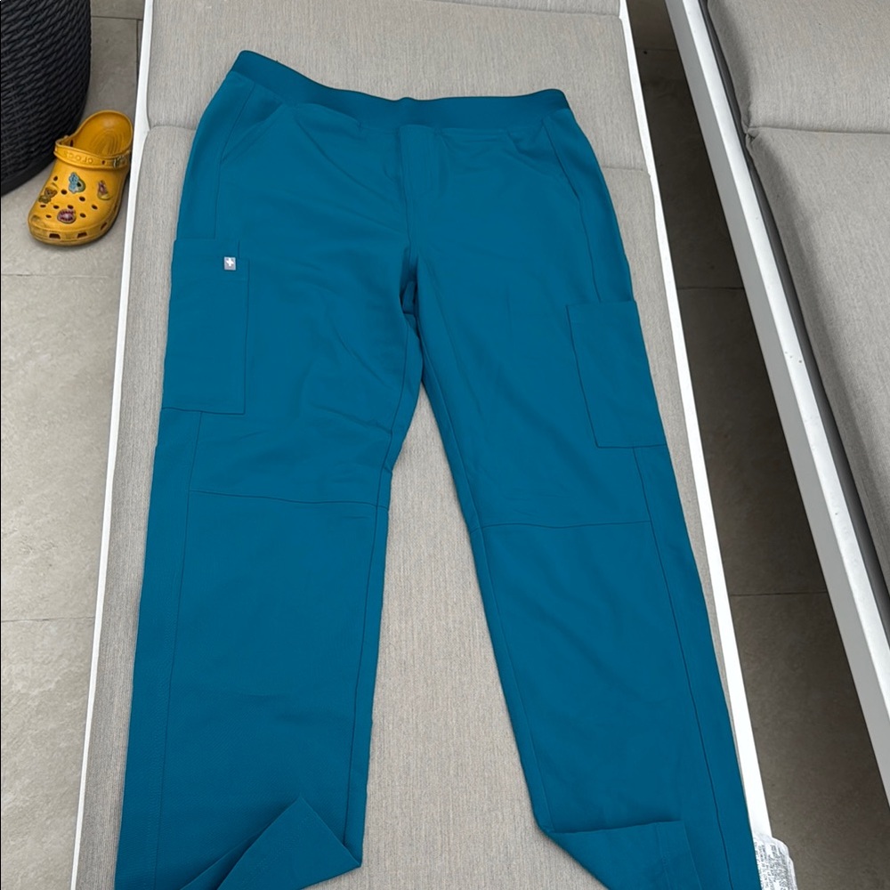 Mens Figs pacific blue large pants
